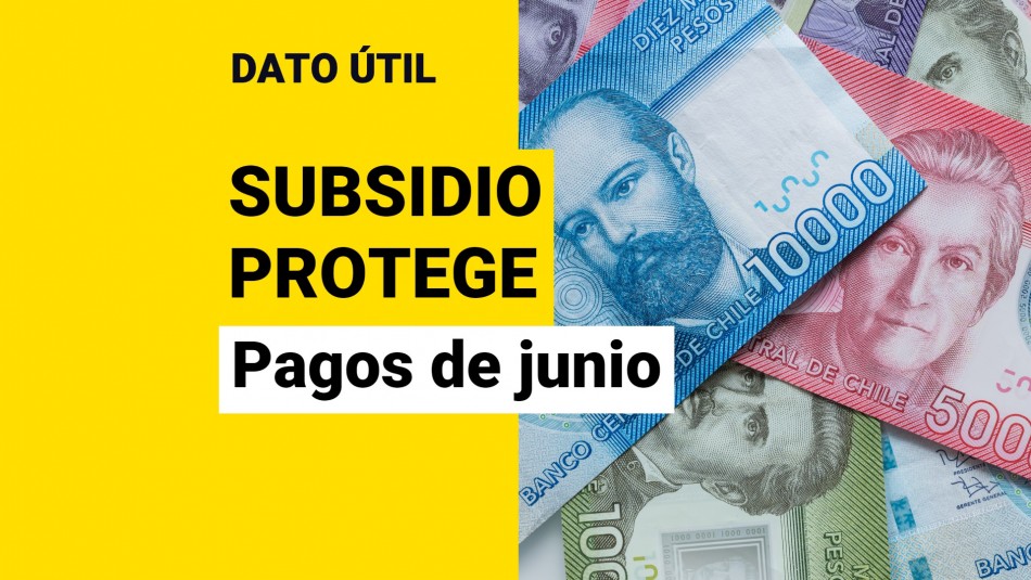 subsidio-protege subsidio protege