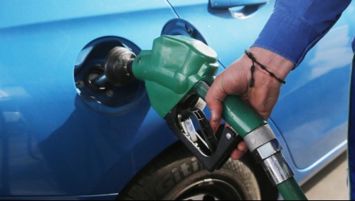 Evitará alzas promedio de $400 por litro: Aprueban duplicar recursos del Mepco para estabilizar precio de la bencina