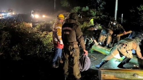 Se registraron cortes de rutas en La Araucanía: Desconocidos habrían derribado árboles