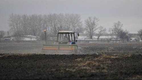 Ucrania ha perdido 'el 25% de sus tierras cultivables' por la guerra con Rusia