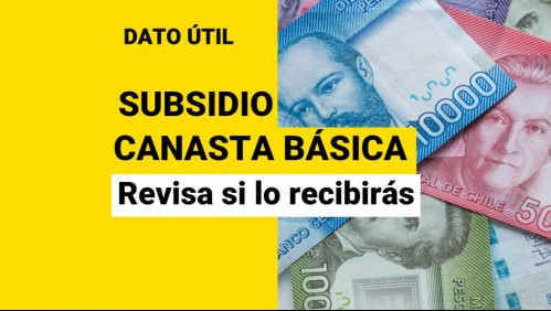 Subsidio Canasta Básica: Conoce cuándo podrás revisar si eres beneficiario