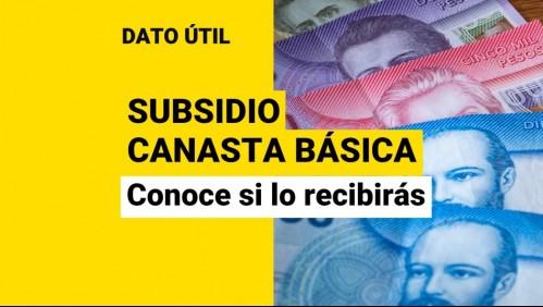 Subsidio Canasta Básica: ¿Cómo revisar si soy beneficiario?