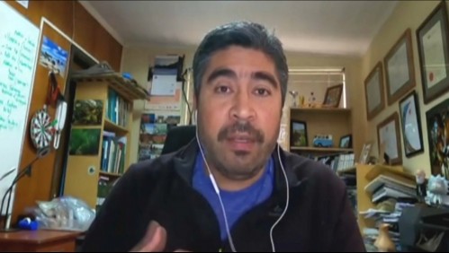 Biólogo y presencia de cochayuyo en la Antártica: 'Ofrece refugio a especies no nativas con consecuencias negativas'