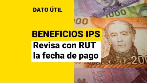 Bonos del Estado: Revisa con tu RUT la fecha de pago de los beneficios del IPS