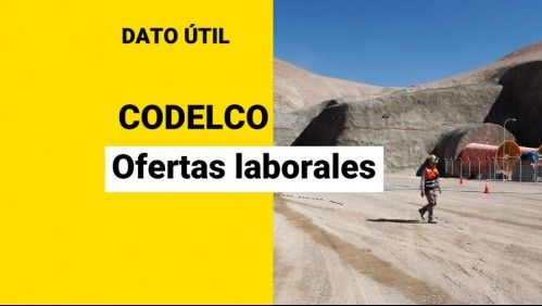 Codelco busca trabajadores: Conoce las ofertas laborales disponibles