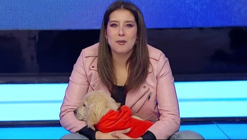 'Habemus hijo nuevo': María José Quintanilla adoptó a perrito callejero que visitó La Hora de Jugar
