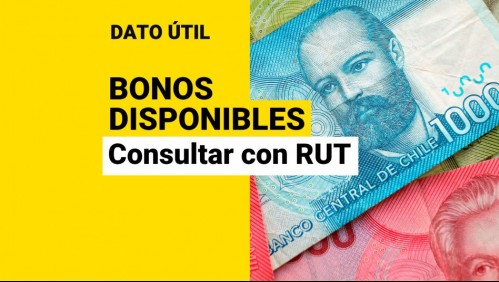 ¿Qué bonos puedo recibir? Consulta con tu RUT los beneficios disponibles para ti