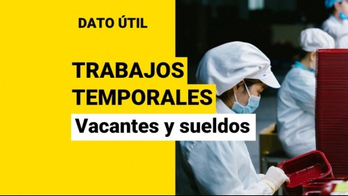 Sueldos de hasta $800 mil para trabajos temporales: Estas son las vacantes disponibles