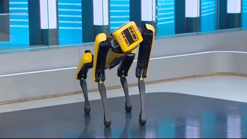 Planeta Futuro - El 'perro robot' está en Chile y bailó en el estudio de Meganoticias