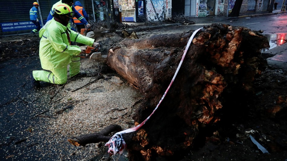 alerta-viento-norte-chile Alerta por viento en el norte: Onemi advierte ante posible colapso del tendido eléctrico, árboles y carteles