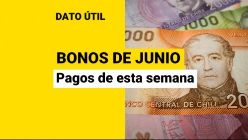 Bonos que se pagan esta semana: ¿Qué aportes puedo recibir los últimos días de junio?