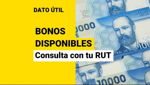¿Qué bonos puedo recibir? Revisa con tu RUT los beneficios disponibles para ti