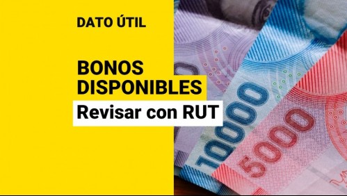 ¿Qué bonos puedo recibir? Así puedes conocer con RUT los aportes destinados para ti