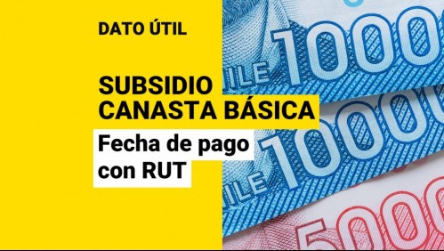 Subsidio Canasta Básica: Consulta con el RUT cuál es tu fecha de pago