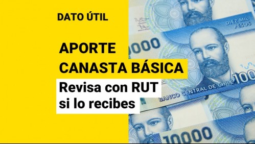 Comienza pago del Aporte Canasta Básica: Revisa con tu RUT si recibes el beneficio