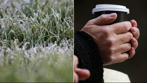 Hasta -4°: Emiten 'advertencia agrometeorológica' por heladas en seis regiones del país