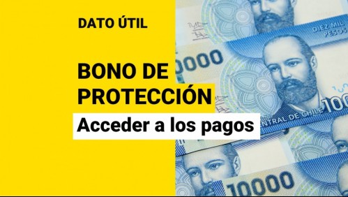 Bono de Protección: ¿Cómo puedo acceder a los pagos mensuales?