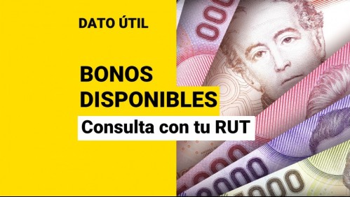 ¿Qué bonos puedo recibir? Conoce con tu RUT los aportes destinados para ti