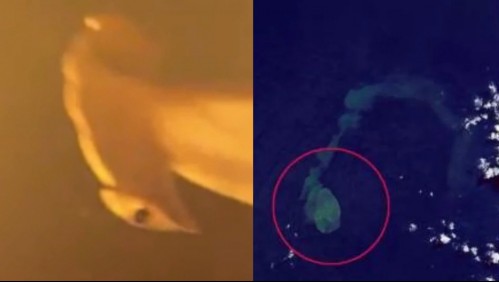 Volcán es hogar de 'tiburones mutantes': NASA advierte que 'Sharkcano' está comenzando a entrar en erupción