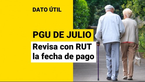 PGU de julio: Conoce con tu RUT la fecha de pago de los $202.834