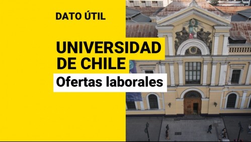 Universidad de Chile busca trabajadores: ¿Cuáles son las ofertas laborales disponibles?