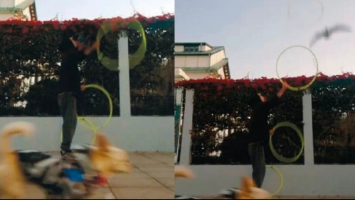 'Y se marchó...': Malabarista se hace viral luego de que una gaviota le 'robara' un hula-hula