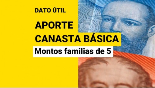 Aporte Canasta Básica: ¿Cuál es el nuevo monto que puede recibir una familia de 5 personas?