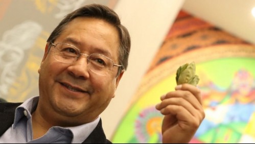 Pasta dental a base de hojas de coca: Bolivia anuncia que comenzará a producir novedoso producto