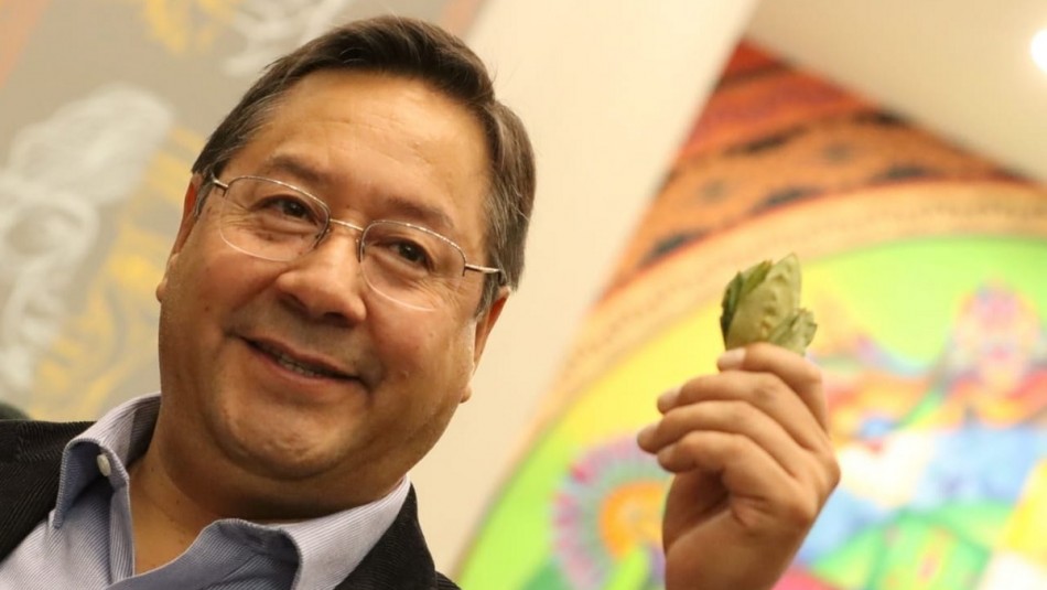 Bolivia comenzará a producir novedosa pasta dental a base de hojas de coca.