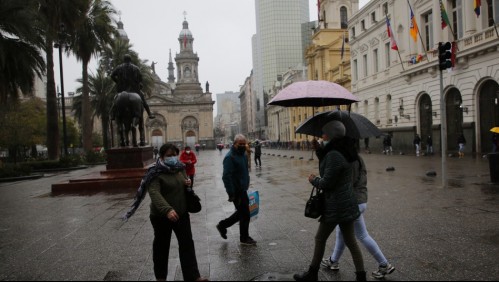 Lluvia en la Región Metropolitana: Onemi reporta cortes de luz y 'alteración de conectividad' por caída de árbol
