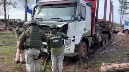 Cae organización dedicada al robo de madera: Seis sujetos fueron detenidos en Galvarino