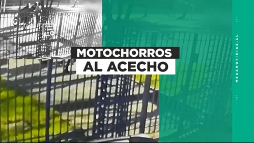 Roban relojes de lujo: Así opera peligrosa banda de motochorros