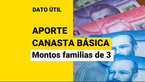 Aporte Canasta Básica: Este es el monto que reciben las familias de 3 personas