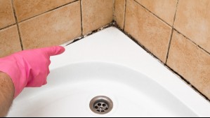 ¿Hay hongos en tu baño? Estos cuatro trucos te pueden ayudar a eliminarlos