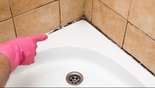 Aparecen con la humedad: 4 trucos que te pueden servir para eliminar los hongos de tu baño