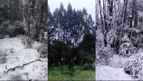 Los registros que ha dejado la caída de nieve en sectores altos de la Isla Grande de Chiloé