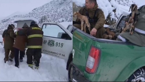 Rescatan a matrimonio de adultos mayores que estaban aislados por la nieve en Vicuña