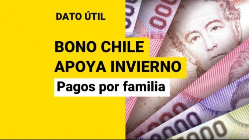 Bono Chile Apoya Invierno de $120 mil: ¿Cuántos pagos puede haber en una familia?