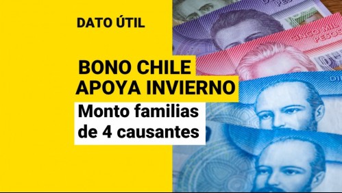 Bono Chile Apoya Invierno: Conoce el monto que recibirán las familias de 4 causantes