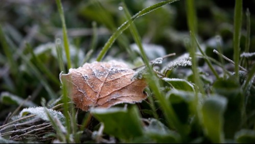 Hasta -2°: Anuncian bajas temperaturas para la próxima semana en la Región Metropolitana