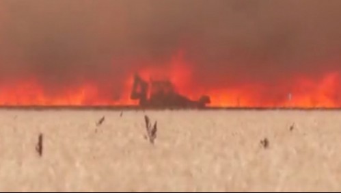 Ola de calor deja incendios en varios puntos de España: Hombre debió escapar de su tractor amenazado por las llamas