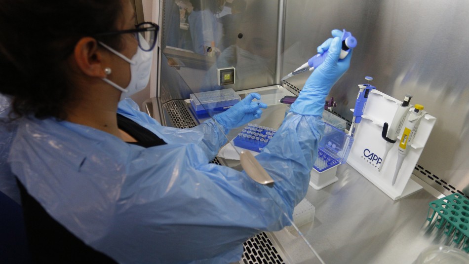 La cifra más baja en 7 semanas: Minsal informa 3.576 nuevos contagios por coronavirus La cifra más baja en 7 semanas: Minsal informa 3.576 nuevos contagios por coronavirus