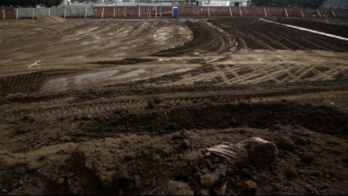 Ministro de Agricultura y parcelaciones rurales: 'No hay prohibición, hay regulación'