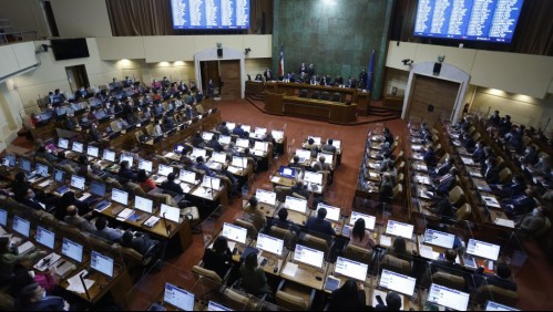Bono Chile Apoya Invierno: Cámara de Diputados aprueba el proyecto y lo despacha a ley