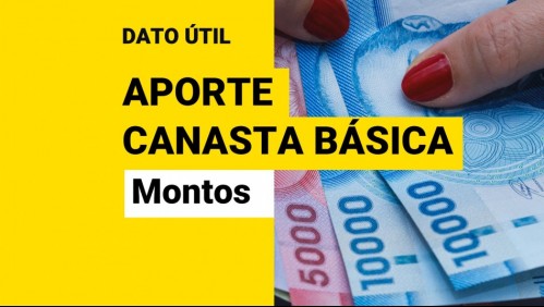 Aporte Canasta Básica: Conoce el monto que reciben los hogares de dos causantes