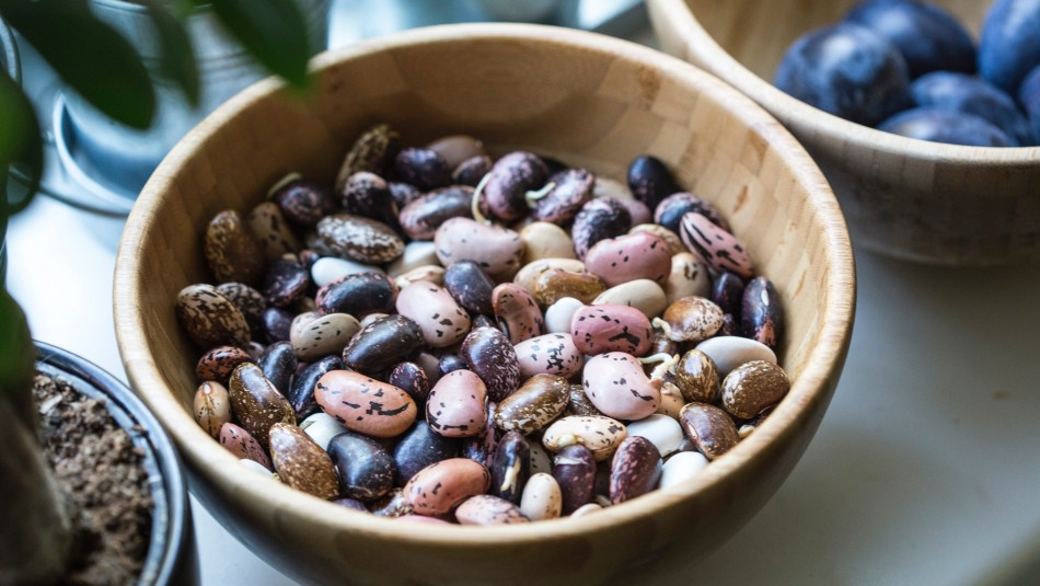 mejor-alimento-para-bajar-colesterol-malo mejor alimento para bajar colesterol malo