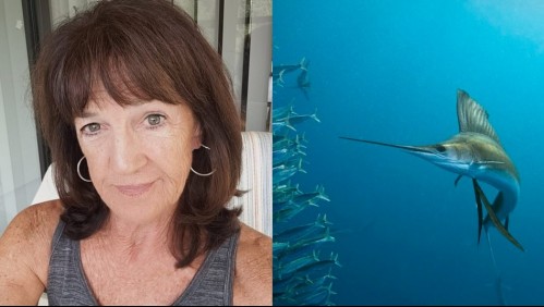 Mujer fue atacada por un pez vela que atravesó su ingle cuando se preparaba para fotografiarlo