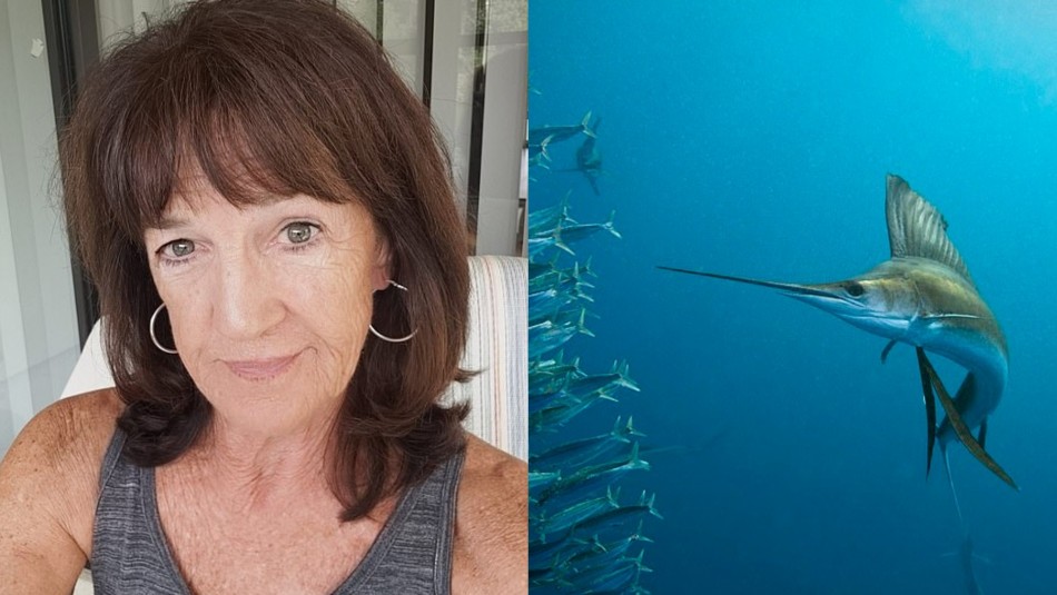 Una mujer fue atacada por un pez vela en Florida, Estados Unidos.