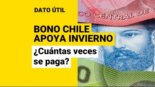 Bono Chile Apoya Invierno: ¿Cuántas veces se pagan los $120 mil?