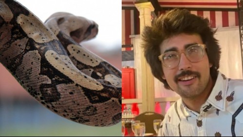 Era fanático de los reptiles y murió al ser estrangulado por una serpiente gigante que cuidaba